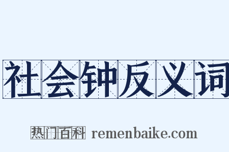 社会钟反义词是什么意思的图片
